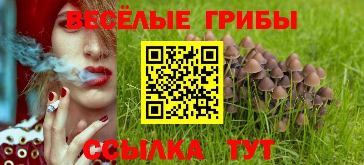 Кольчугино  Псилоцибиновые грибы мицелий  Вход с VPN 