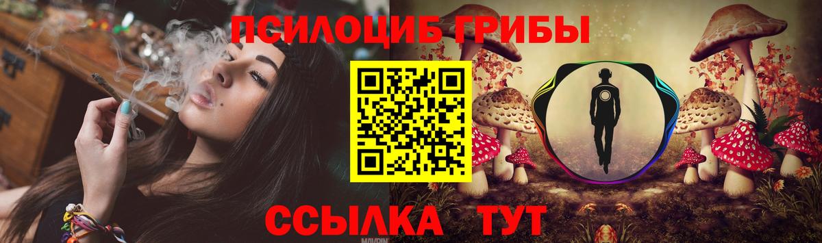 Галлюциногенные грибы Magic Shrooms Кольчугино